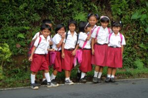 Education Sector In Indonesia